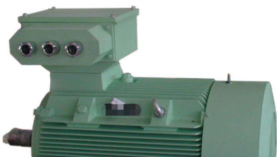 赛微电机sw300，产品介绍及性能分析